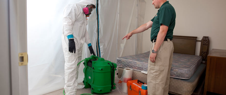 Greenfield, WI mold removal process